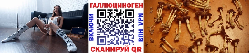 Галлюциногенные грибы мицелий  Задонск 