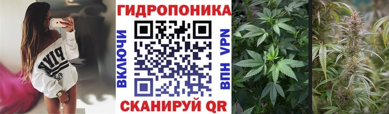 Шишки марихуана сатива  Задонск 